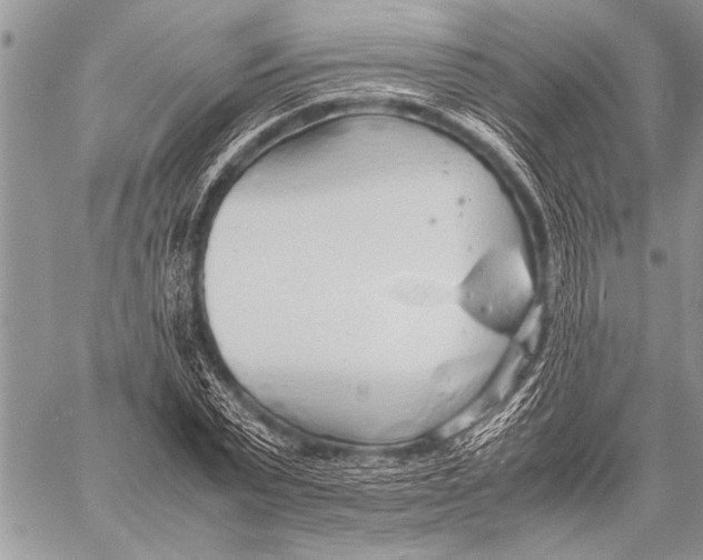 X0000058130783200510171335