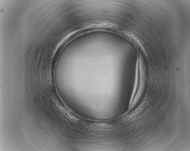 X0000058130784200510171335