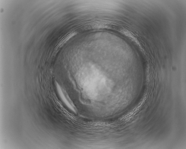 X0000058130785200510171335