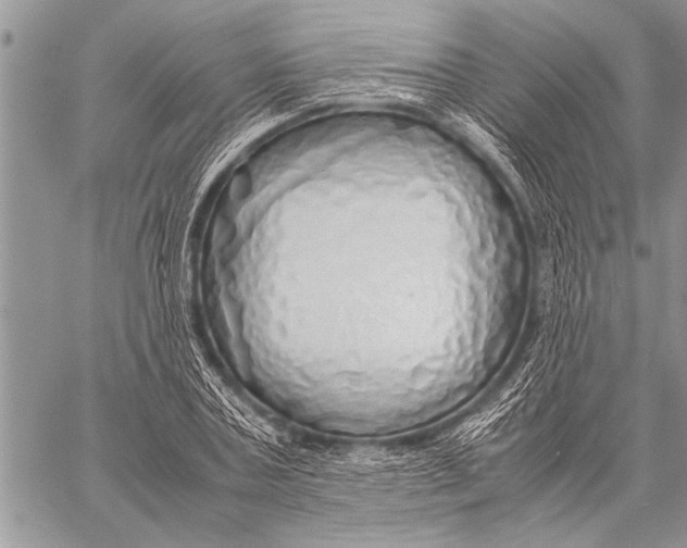 X0000058130787200510171335