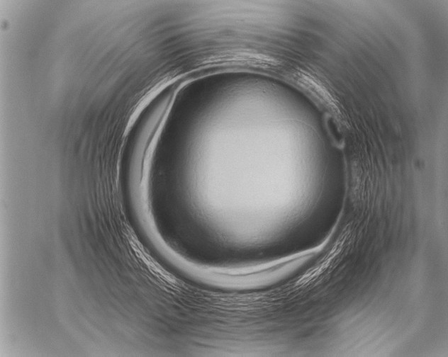 X0000058130788200510171335