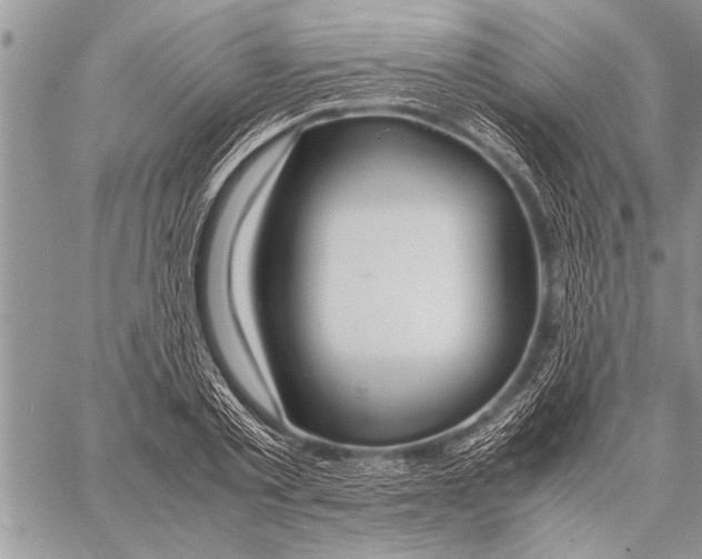 X0000058130789200510171335