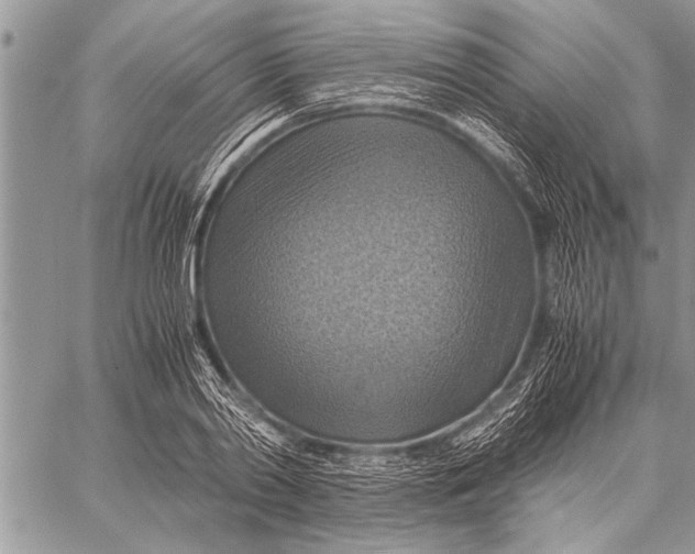 X0000058130790200510171335