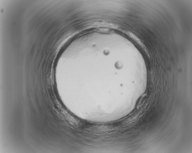 X0000058130791200510171335