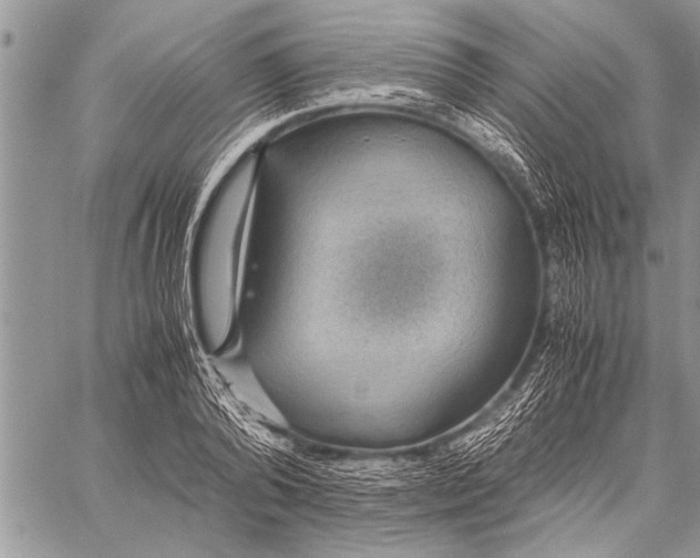 X0000058130792200510171335