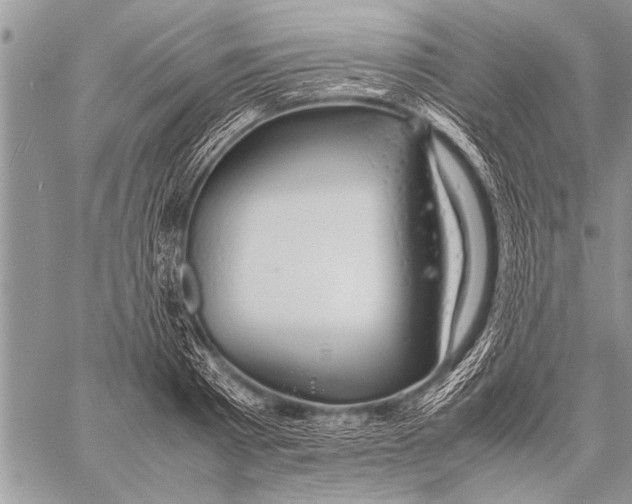 X0000058130793200510171335