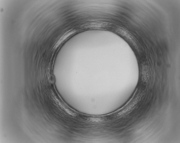 X0000058130794200510171335