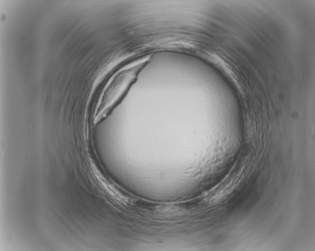 X0000058130795200510171335