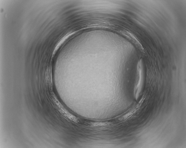 X0000058130796200510171335