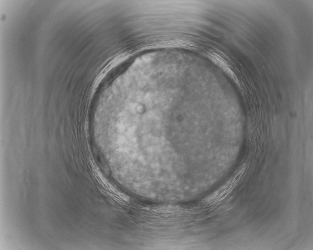 X0000058130797200510171335