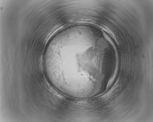 X0000058130798200510171335