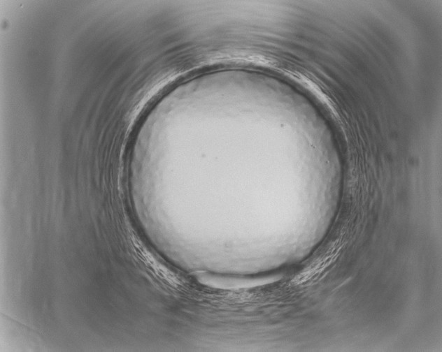 X0000058130799200510171335