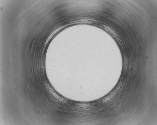 X0000058130800200510171335