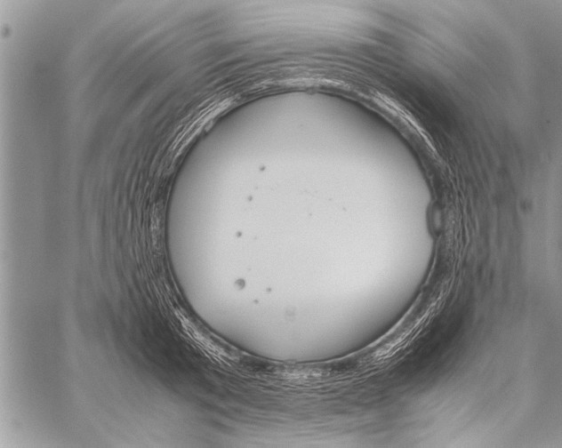 X0000058130801200510171335