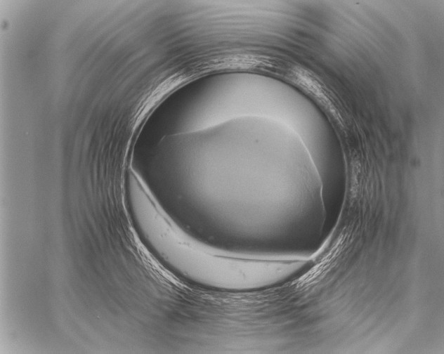 X0000058130802200510171335