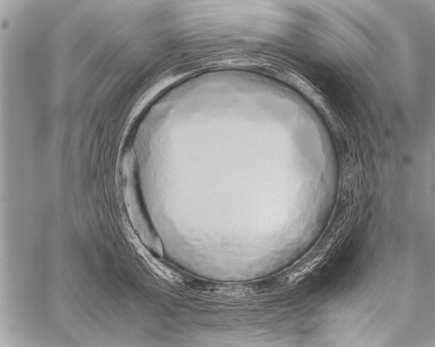 X0000058130803200510171335