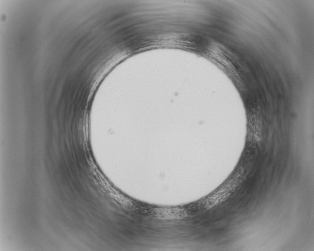 X0000058130804200510171335