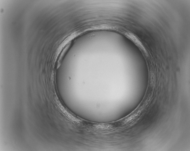 X0000058130805200510171335