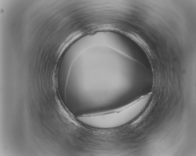 X0000058130806200510171335