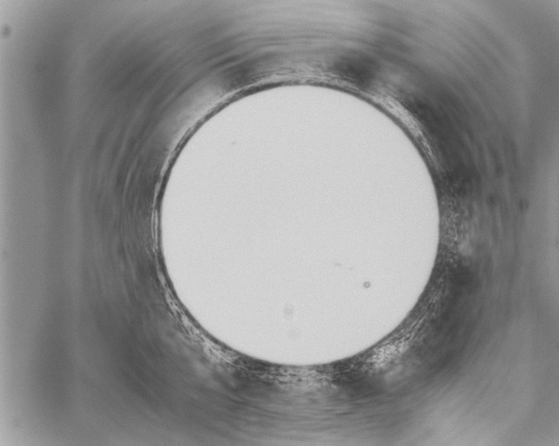 X0000058130807200510171335