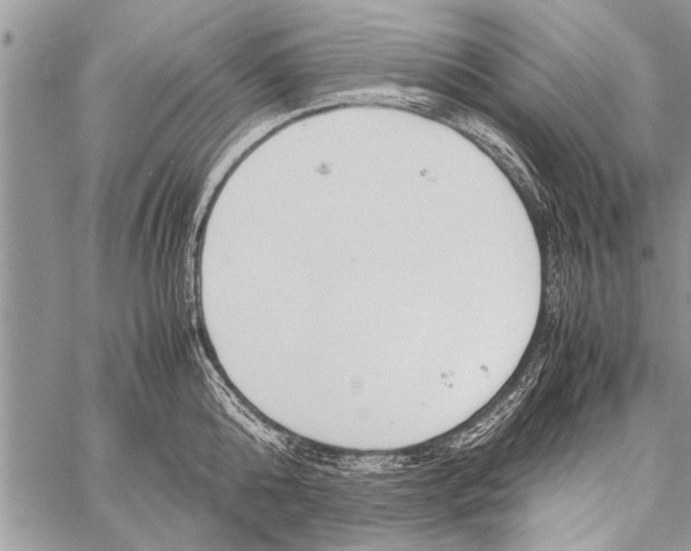 X0000058130808200510171335