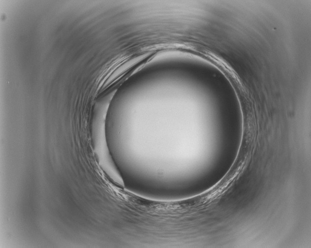 X0000058130809200510171335