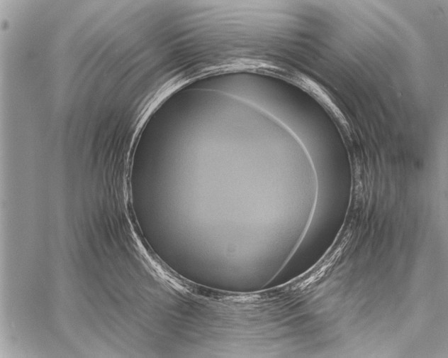 X0000058130810200510171335