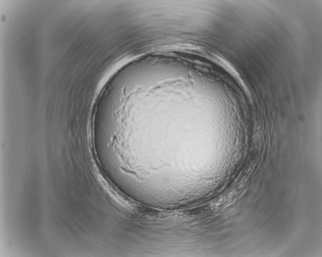 X0000058130811200510171335