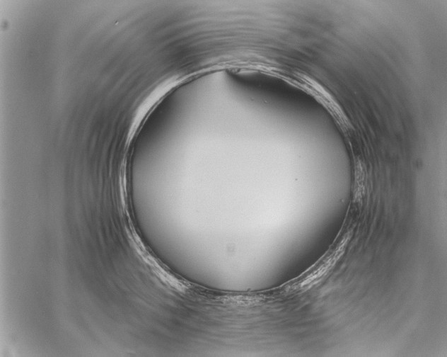 X0000058130812200510171335