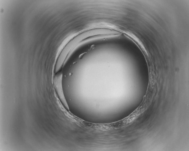 X0000058130815200510171334