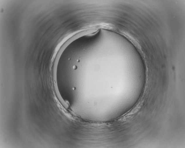 X0000058130816200510171334