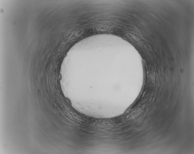 X0000058130817200510171334