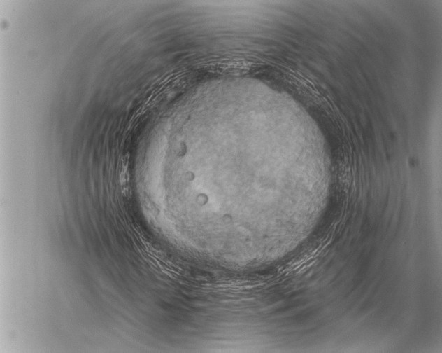 X0000058130818200510171334