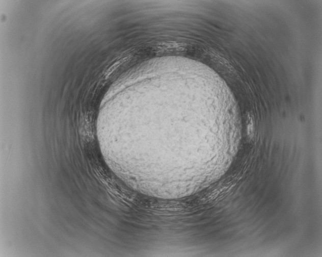 X0000058130819200510171334