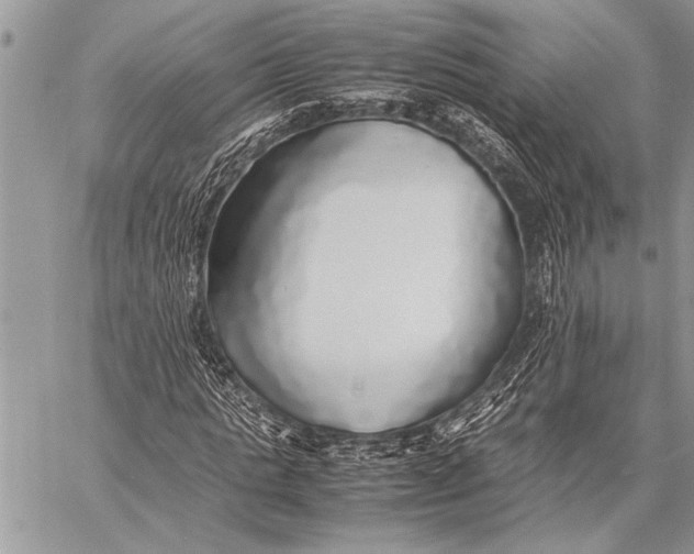 X0000058130821200510171334