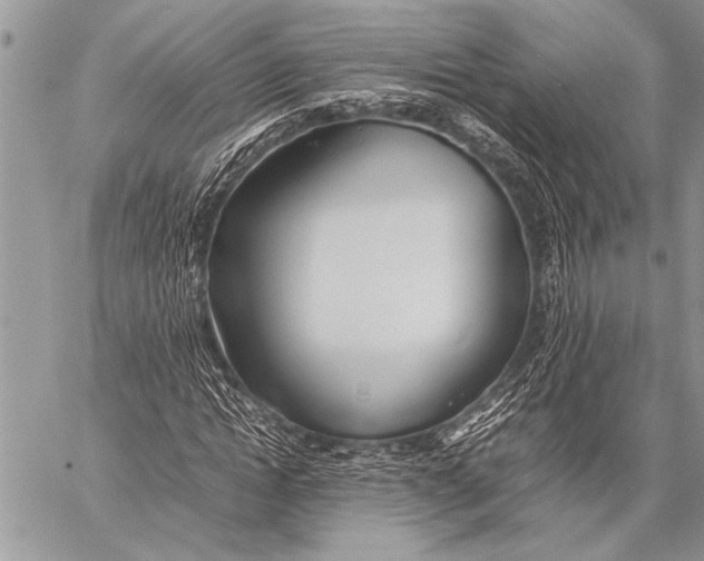 X0000058130822200510171334