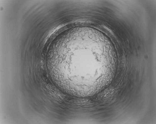 X0000058130823200510171334