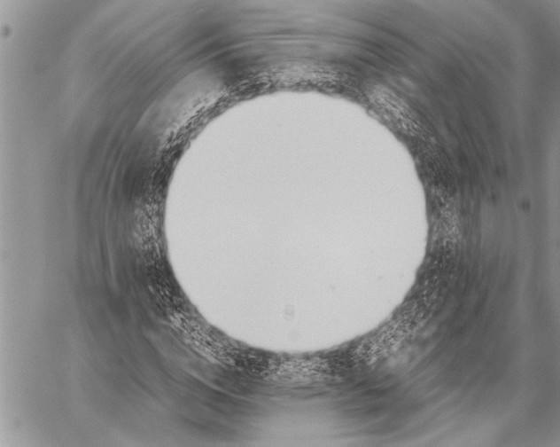 X0000058130824200510171334