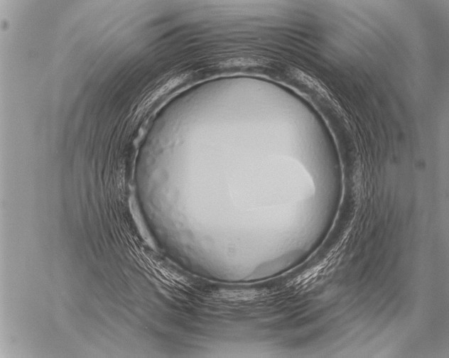 X0000058130825200510171334