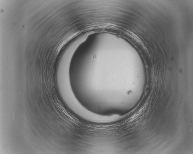 X0000058130826200510171334