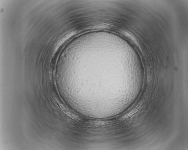 X0000058130827200510171334