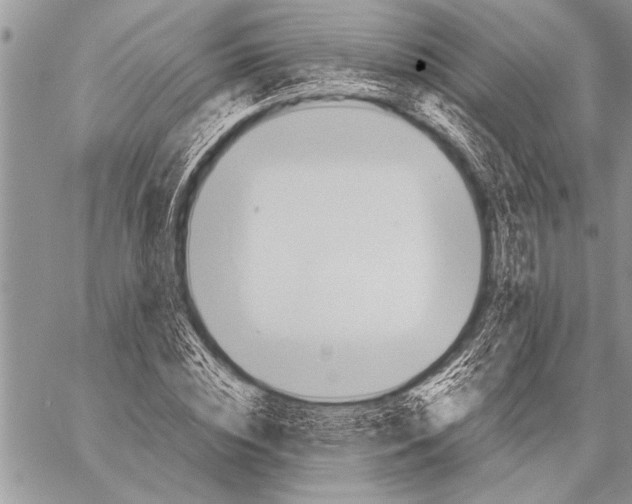 X0000058130828200510171334