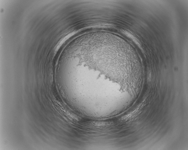 X0000058130829200510171334