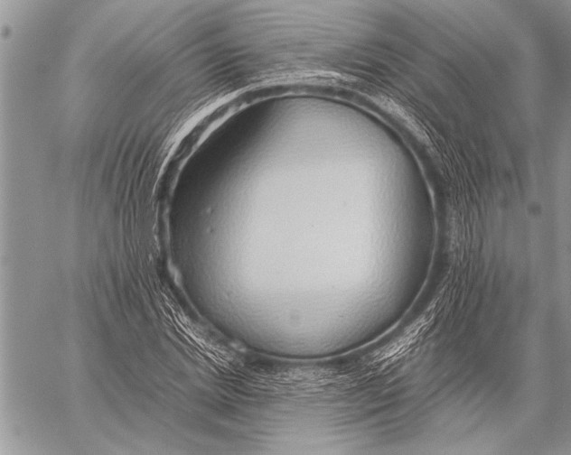 X0000058130830200510171334