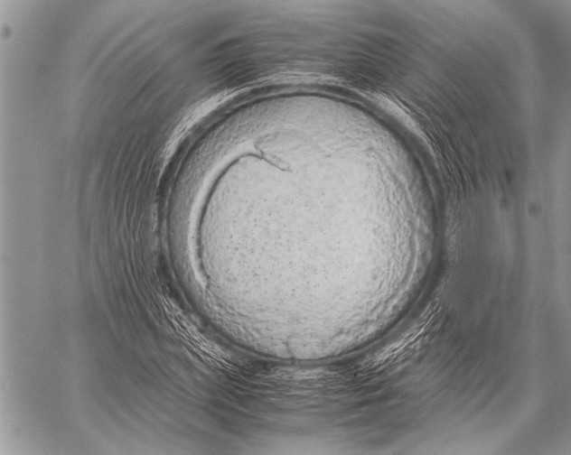 X0000058130831200510171334