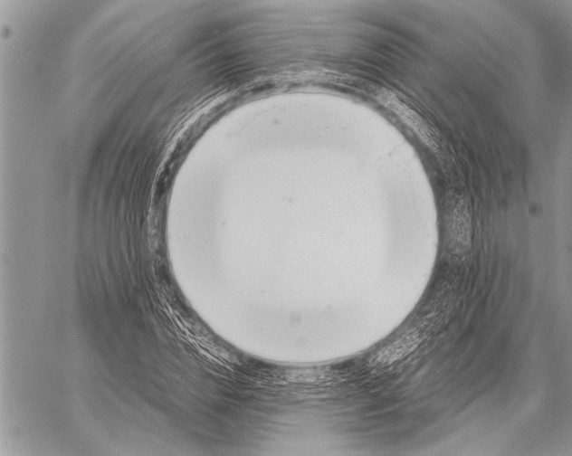 X0000058130832200510171334