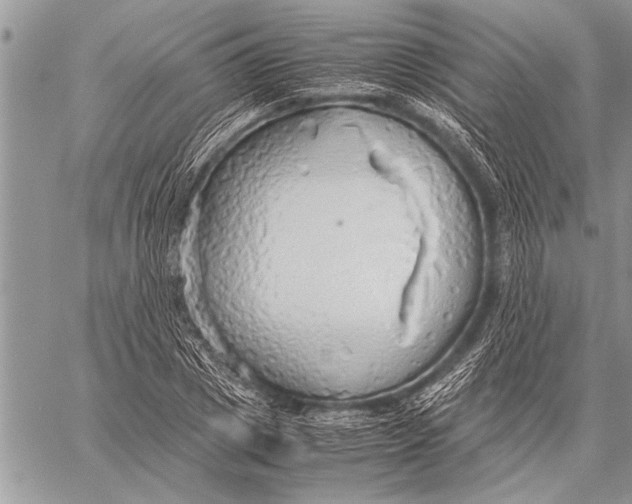 X0000058130833200510171334