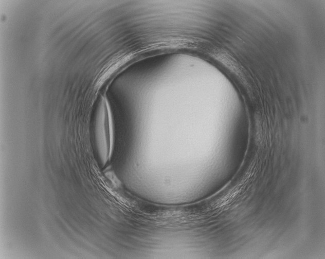 X0000058130834200510171334