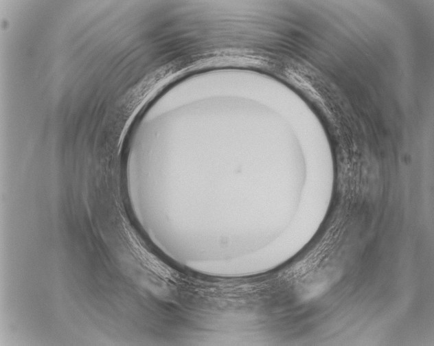 X0000058130836200510171334