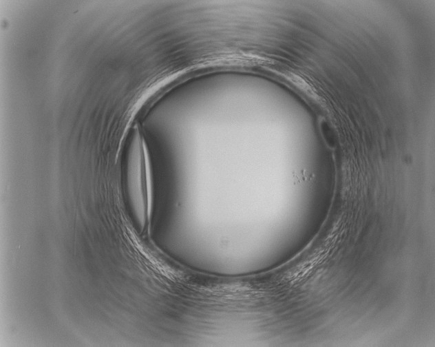 X0000058130838200510171334